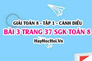 Giải bài 3 trang 37 Toán 8 Tập 1 SGK Cánh Diều